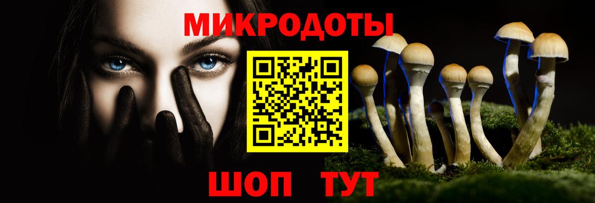 Ейск  Галлюциногенные грибы мухоморы  Псилоцибиновые грибы прущие грибы  Вход с VPN 